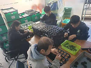 직업훈련 및 평가<작업활동>