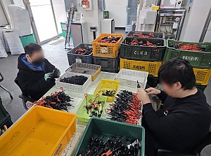 자동차부품 고무사상